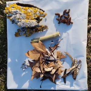 Table à toucher pour les tout-petits où l'on voit de l'écorce, des lichens colorés, des feuilles, du bois, des graines et des fruits récoltés dans la nature