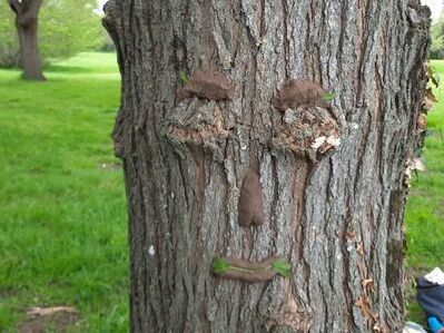 esprit de la foret une arbre avec un visage en terre