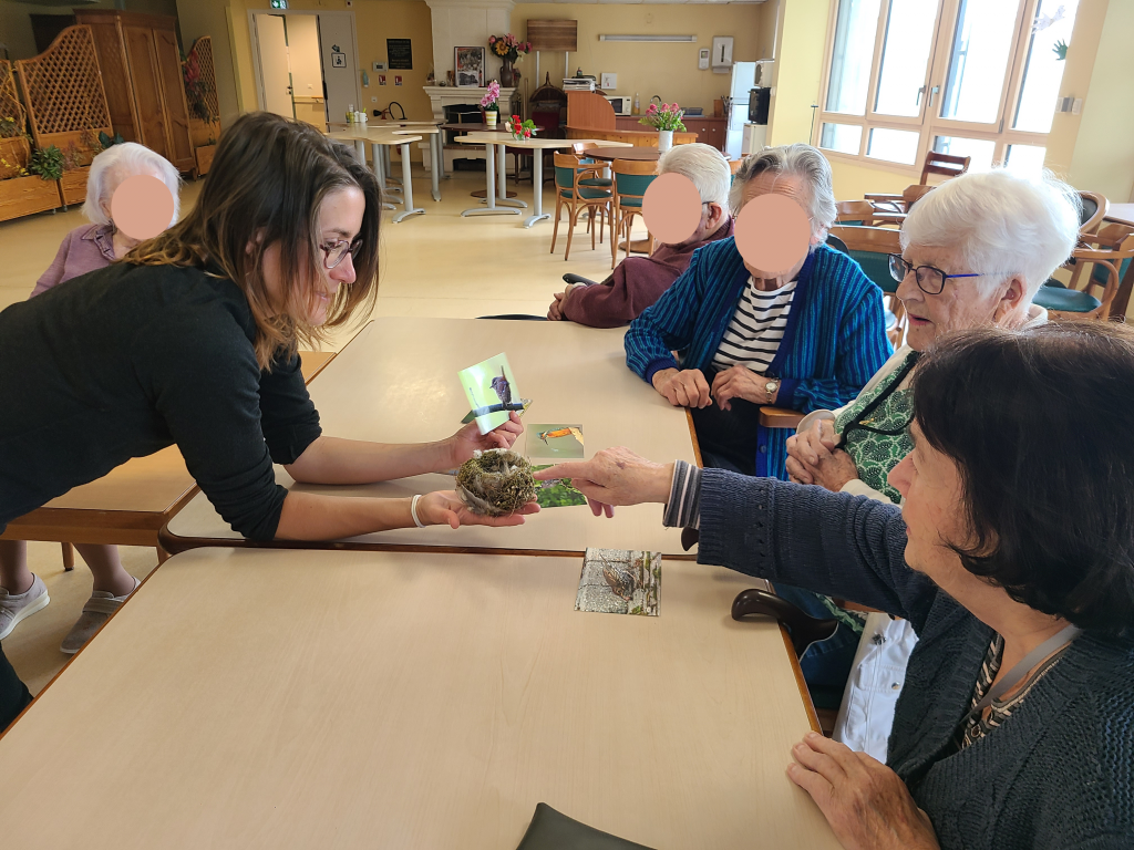 dans un ehpad, on voit une animatrice qui montre un nid et des photos à des personnes âgées dans leur salle commune d'ehpad