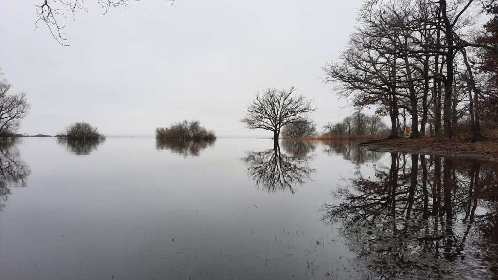 le lac de grandlieu inondé