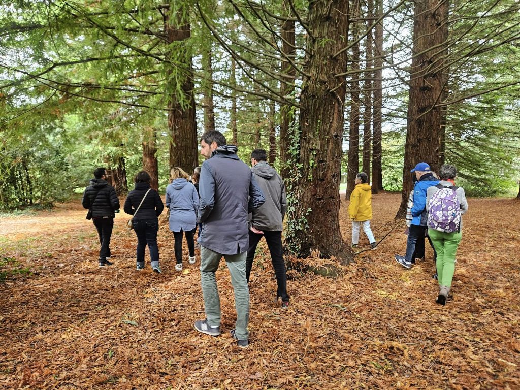 une quinzaine de personnes marchent dans un sous-bois
