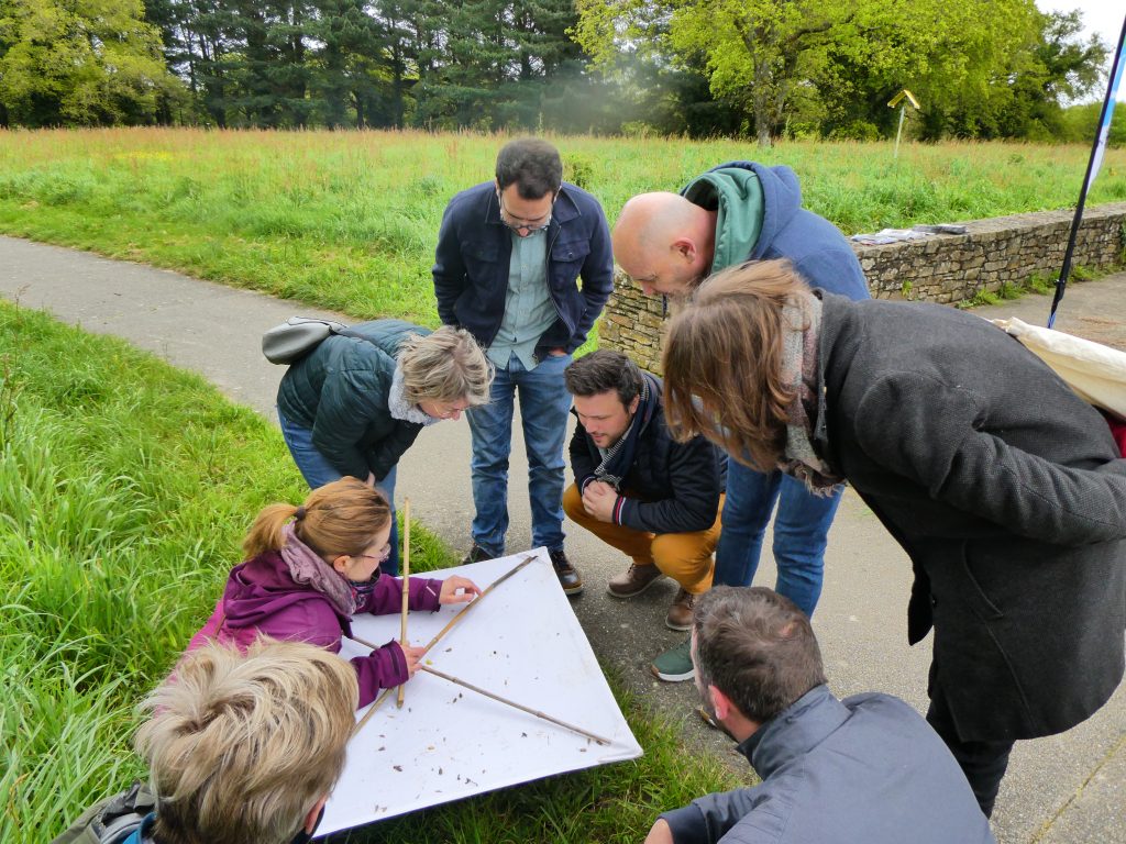 plusieurs personnes regardent des insectes qui marchent sur un carré de toile tendu par des batons croisés et tenu entre les mains de l'animatrice