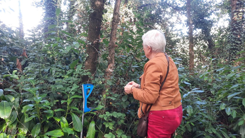 une dame avec une béquille est en pleine foret en train d'ajouter de l'argile sur un arbre